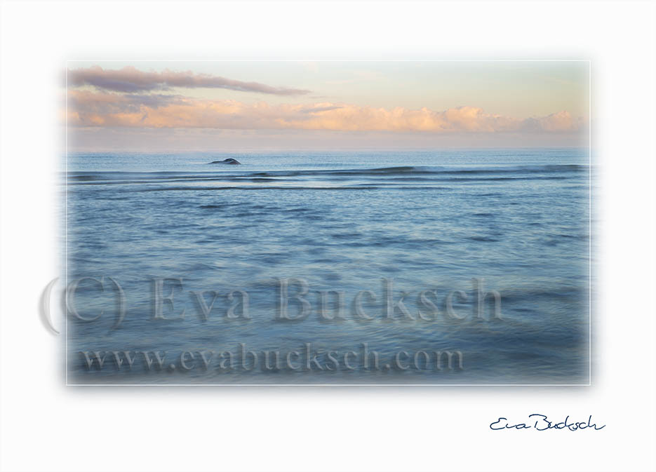 foto av Eva Bucksch